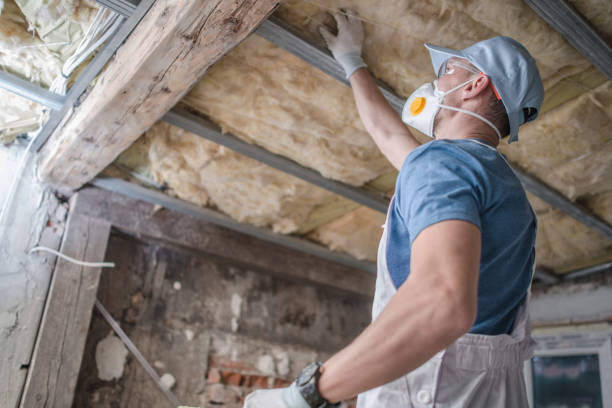 Best Insulation Maintenance and Repair in Sun Prairie, MT